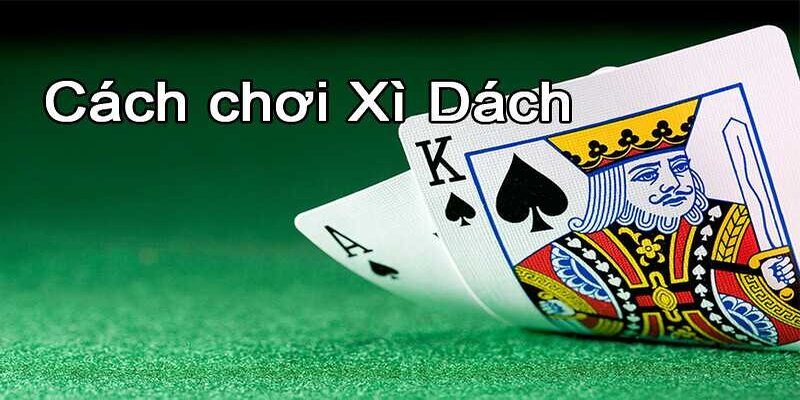 Cách chơi xì dách ảnh đại diện